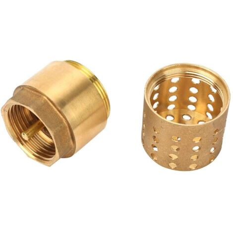 PNXKTXO Clapet Anti-retour DN25 Laiton - Valve à Pied Pompe Eau Avec Filtre 25mm
