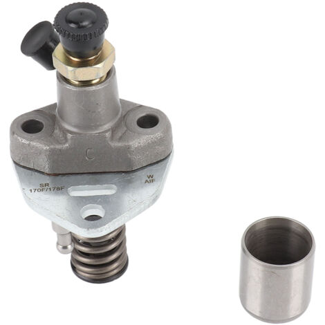 Ensemble de pompe d'injection de remplacement en métal de pompe d'injection 170F 178F pour générateur diesel (1/5)