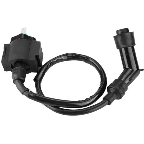 Générateur De Bobine D'Allumage 168F-170F - Bobine Pour Générateur Essence 2kW 3kW, Remplacement Haute Performance