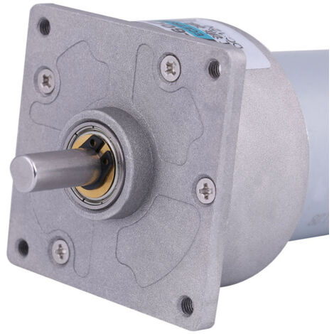 Milltrip Moteur à Engrenages DC 12V 25mm Métal - Basse Vitesse Pour Serrure Électronique (12V 30RPM)
