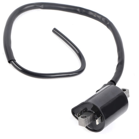 Bobine d'allumage à 2 broches de grande cylindrée pour les modèles Yamaha Cart G2 G9 J38823102000.