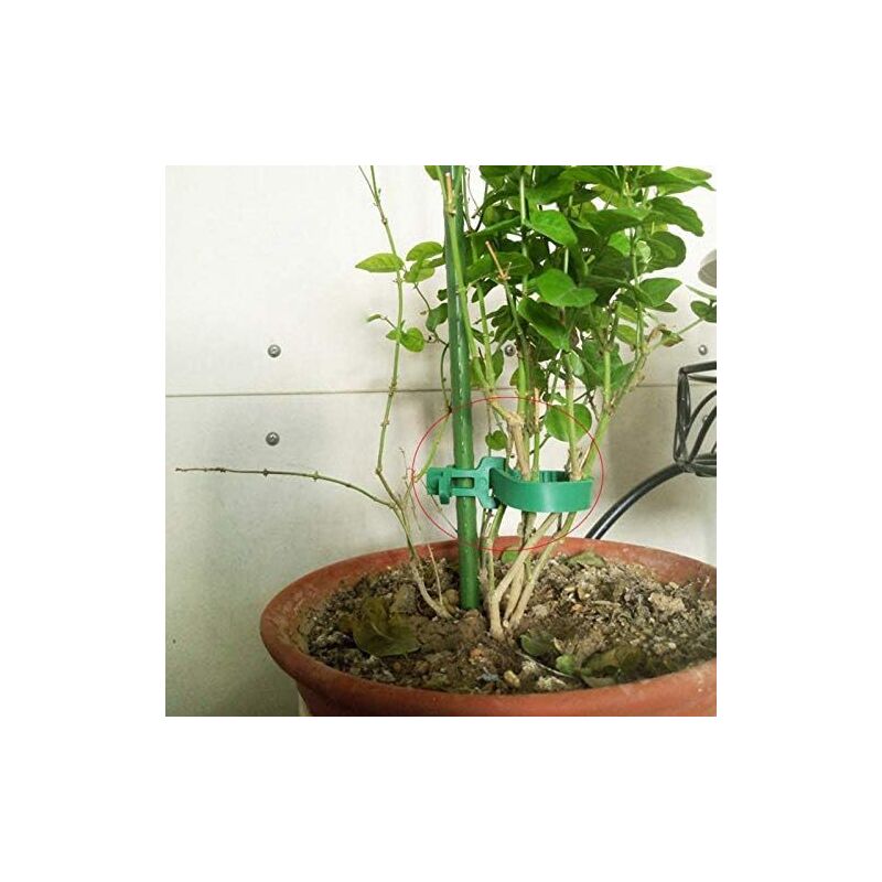 Attaches Végétales Réutilisables - Lot De 10 - 35cm - Pour Tuteurer Et Ligoter Plantes Sans Les Abîmer