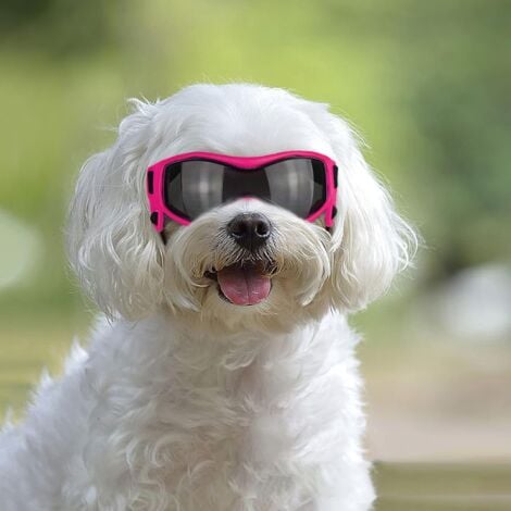 lunette de soleil petite taille