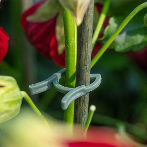 100Pcs Clips De Support De Plante Clips De Greffe Pour Arbres Légumes