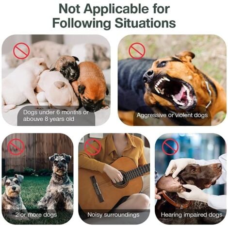 Sollbry Anti Aboiement Chien, Ultrasons Anti aboiement, Automatique Anti-Aboiement Chien Ultrason Dispositif Étanche pour Les Petits et Grands Chiens