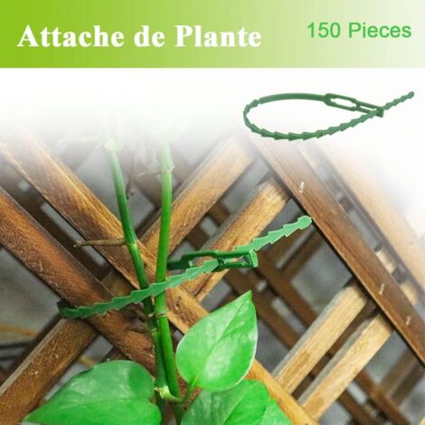 2.8x10 - Attache de fil souple pour plante de jardin, emballage torsadé, Support de plantation