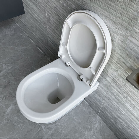 Back To Wall Toilet Ceramic Pan Cloakroom Soft Close Seat Bathroom WC Modern BTW