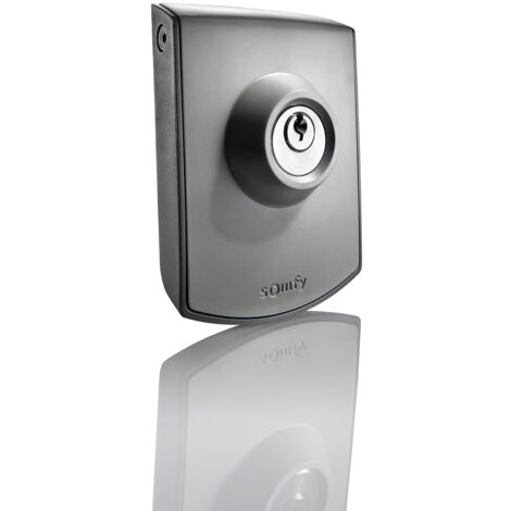 SOMFY 2400597 - Commande à clé filaire - Contact à clef pour moteur de portail ou garage