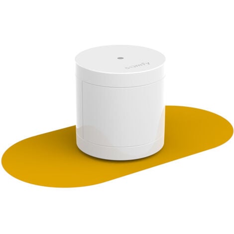SOMFY 2401490 - Détecteur de mouvement intérieur - Compatible animaux - Compatible Somfy Home Alarm (Advanced), Somfy One (+)