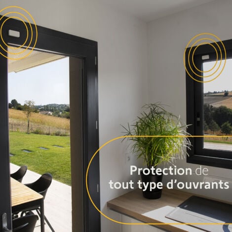 SOMFY 1875250 - Pack de 6 IntelliTAG - Détecteurs auto-protégés de vibration pour intérieur ou extérieur - Détection avant l'ouverture - Compatibles Somfy One (+) & Somfy Home Alarm (Advanced)