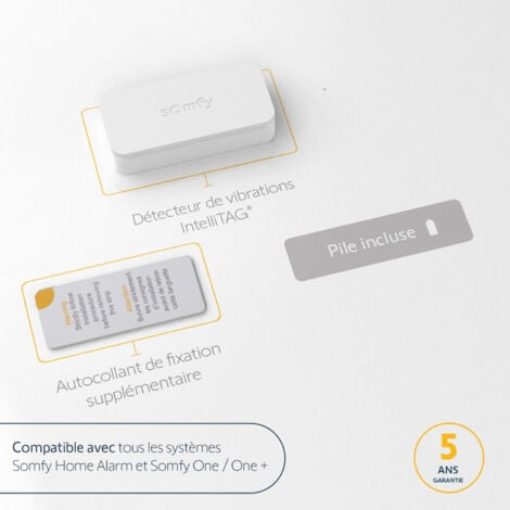 SOMFY 2401487 - IntelliTAG - Détecteur auto-protégé de vibration pour intérieur ou extérieur - Détection avant l'ouverture - Compatible Somfy One (+) & Somfy Home Alarm (Advanced)