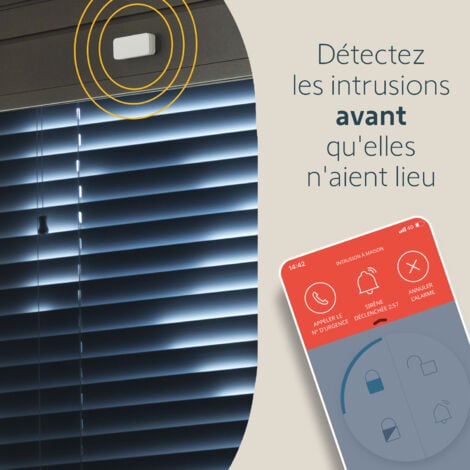 SOMFY 2401487 - IntelliTAG - Détecteur auto-protégé de vibration pour intérieur ou extérieur - Détection avant l'ouverture - Compatible Somfy One (+) & Somfy Home Alarm (Advanced)