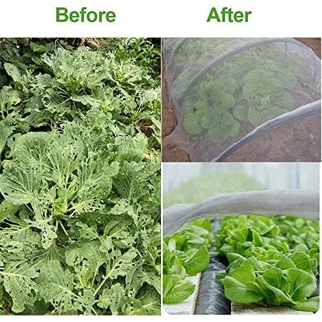 Filet de Jardin,10 m x 2.5m Filet Anti Insecte, Filet Anti Insectes Potager, Maille Fine Anti-Insecte en Maille pour la Protection des Plantes, Fleurs, Légumes et Fruits