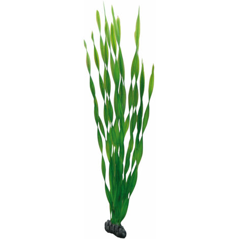 Hobby Vallisneria, 60 cm - Kunststoffpflanze für Aquarien