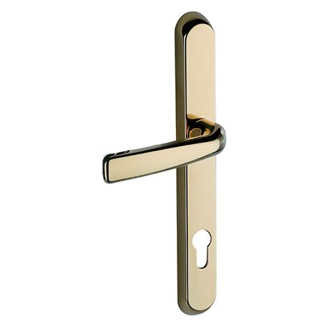 AFFINITY STAINLESS STEEL DOOR HANDLES - LEVER LEVER - LONG BACKPLATE POLISHED GOLD