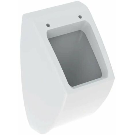 Geberit Pissoire - Urinal, Anschluss hinten, weiß 236100000