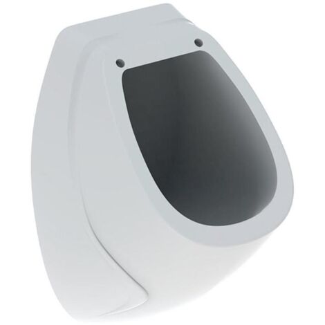 Geberit Pissoire - Urinal, Anschluss hinten, weiß 239200000