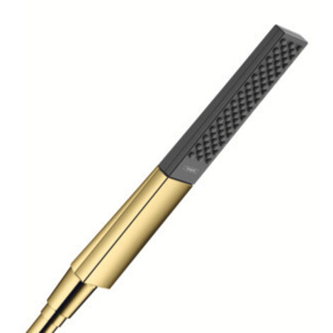 hansgrohe Rainfinity Stabhandbrause 100 1jet, 26866990