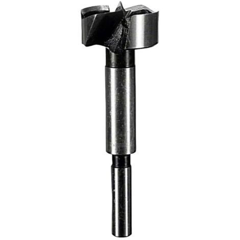Bosch Zubehör - Forstnerbohrer, Durchmesser 20 mm 2608596973 (1/2)