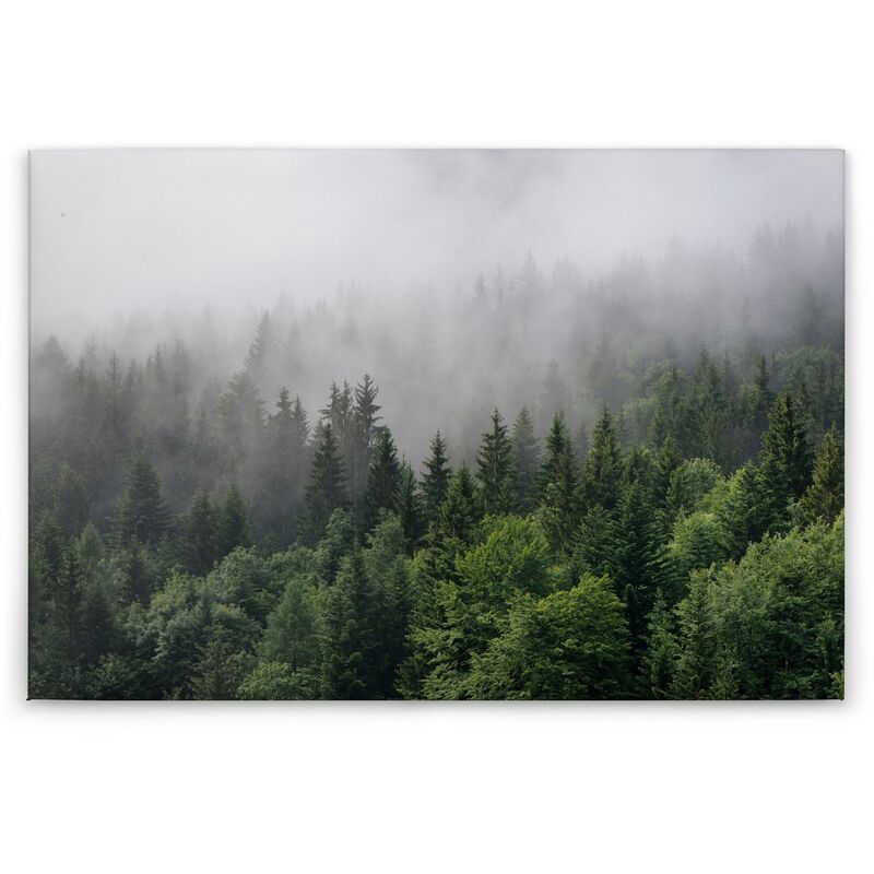 Foggy Forest Leinwandbild – Berglandschaft In Schwarz-Weiß, 121 X 61 Cm, Mit Holzrahmen