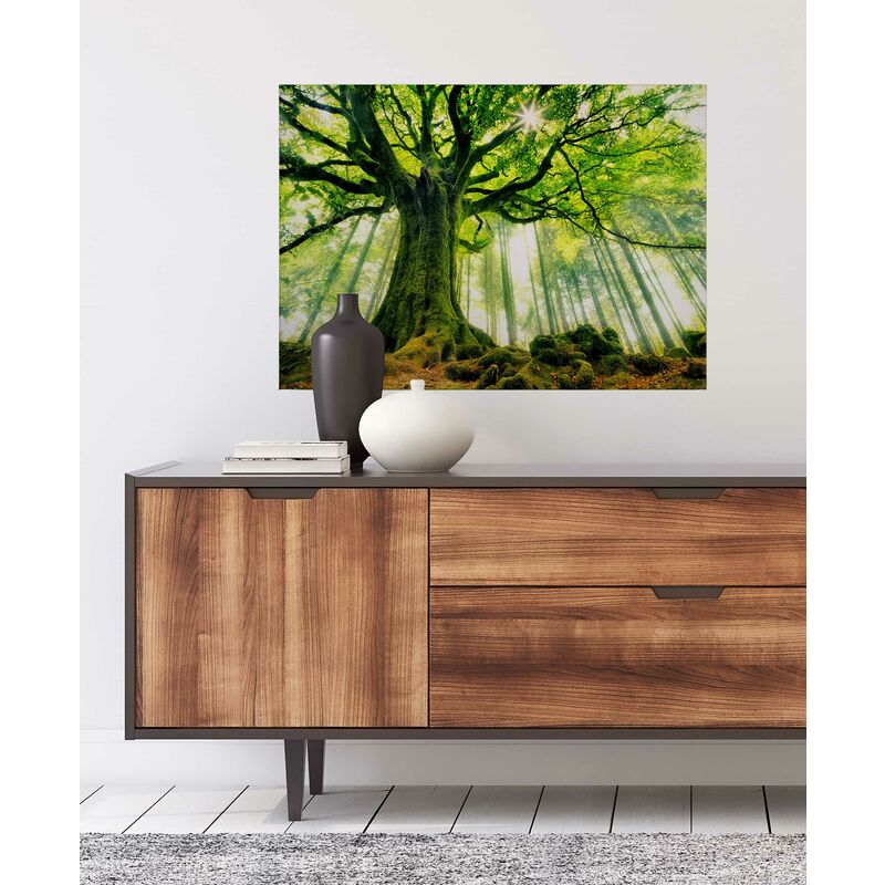 Enlightened Forest Leinwandbild - Wald Bild Leinwand Wanddeko In Grün Motiv Mehrteilig