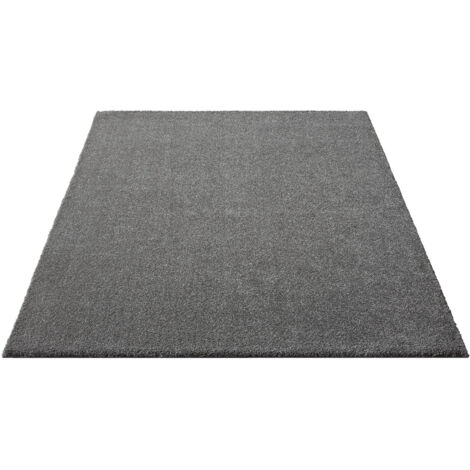 FLOORNOVO Hochflor Teppich Läufer einfarbig - 250 x 80 cm - Besonders Weicher Teppich Wohnzimmer & Badezimmerteppich - Pflegeleicht - vielseitig einsetzbar im Innenbereich (1/5)