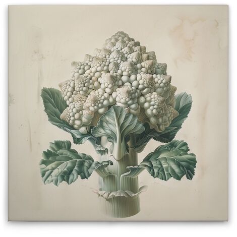 Leinwandbild Romanesco Küchenmotiv M1-No.51858 - Kunstdruck auf Leinwand in Creme Beige - Wandbild 30 x 30 cm (1/5)