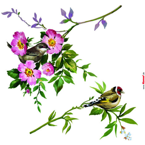 Komar Fenstersticker - Spring Fever - 31 x 31 cm - Fensteraufkleber - Naturmotiv (1/3)
