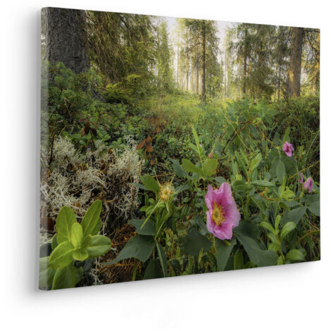 Komar Canvasbild Charming Woods - 40 x 60 cm - Bild auf Keilrahmen - Naturmotiv (1/2)