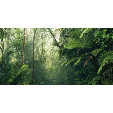 Vlies Fototapete - Tropenwelten - Größe 500 x 250 cm (1/2)