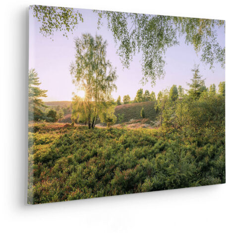 Komar Canvasbild Sommerabend - 40 x 60 cm - Bild auf Keilrahmen - Naturmotiv (1/2)