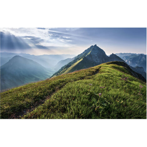 Komar Wandtapete - Green Vein - 250 x 400 cm - Vlies Digitaldruck - Naturmotiv (1/2)