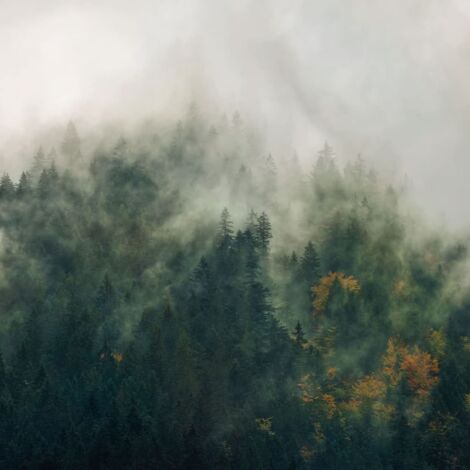Vlies Fototapete - Tales of the Carpathians - Größe 300 x 250 cm (1/2)