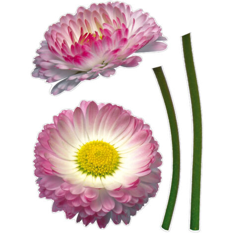 Komar Wandaufkleber - Daisy - 70 x 50 cm - selbstklebender Wandsticker - Naturmotiv (1/2)