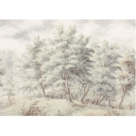 Komar Wandtapete - Grove - 250 x 350 cm - Digitaldruck - klassischer Stil (1/5)