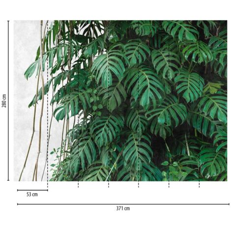 A.S. Creation Fototapete Livingwalls The Wall 382411 Ein Motiv pro Rolle 3.71 x 2.80 m Dschungel Grün (1/3)