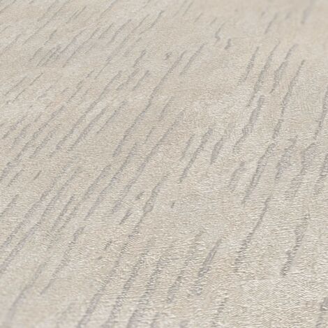 A.S. Creation Titanium 3 381991 Vliestapete Modern 0.53 m x 10.05 m Beige (1/4)