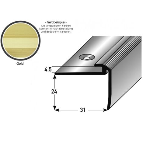 Einschubprofil "Kilkenny" mit Nase für Designbeläge, Einfasshöhe 5 mm, Aluminium eloxiert, gebohrt-goldfarbig-1000