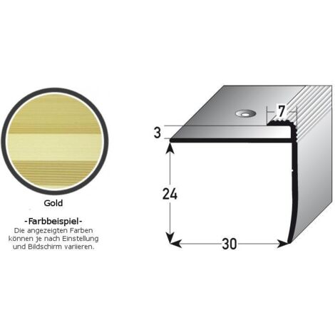 Einschubprofil "Annidale", mit Nase für Böden mit 3 mm Stärke, Aluminium eloxiert, gebohrt-goldfarbig-1000