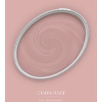Wandfarbe Rosa matt The Color Kitchen Guava Juice Exklusive Innendispersion Hohe Farbintensität 2.5 Liter