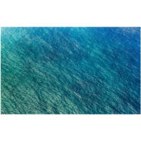 Komar Wandtapete - Blaupause - 250 x 400 cm - Vlies Digitaldruck - Maritim Naturmotiv