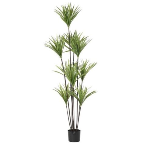 Plante Polyester Pp 75X75X180 Vert (1/5)