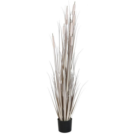 DKD Home Decor Joncs Plante décorative gris clair 45x45x150 cm (1/3)