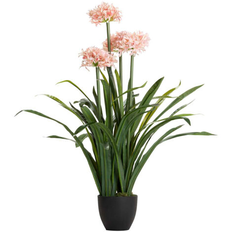 Plante de Narcisse 70X70X100 Cm (1/2)