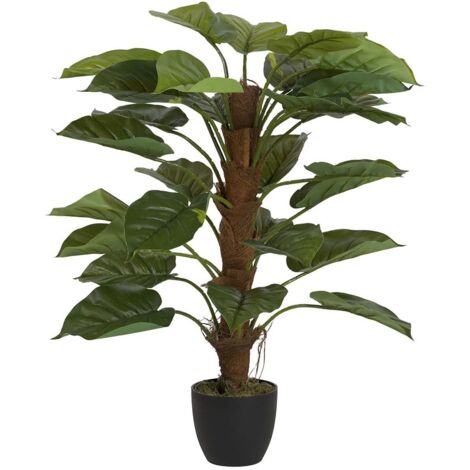 Plante Rhadhidophora Aureum avec pot 50X50X73 Cm (1/2)