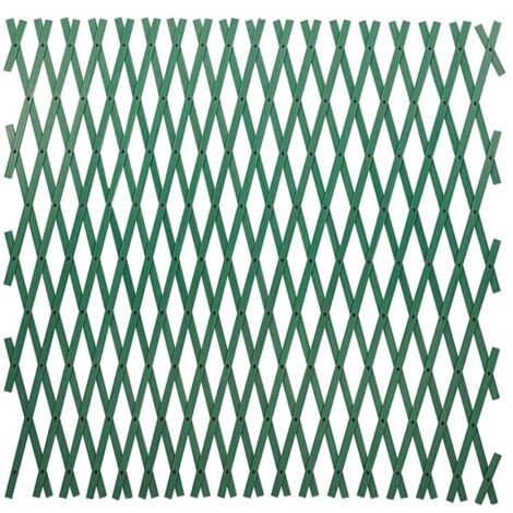 Traliccio Estensibile in Pvc colore Verde 2X1 Mt tipo rinforzato