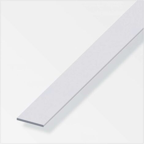 Barra Piatta 20X2 Alluminio Argento 1Metro