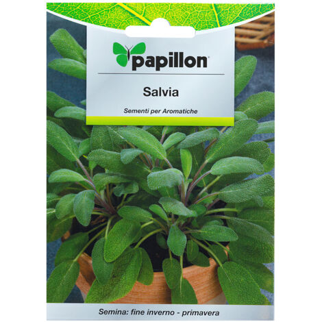 SEMI ERBA AROMATICA """SALVIA""" - CF. BUSTA 1 GR.