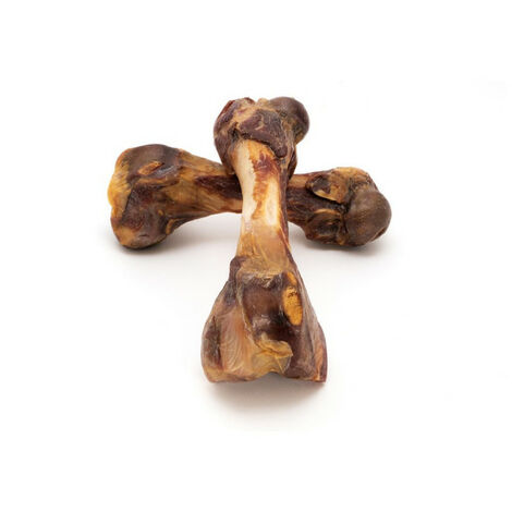 Dog Snack Gloria Ox Bull 20 Units main image 0