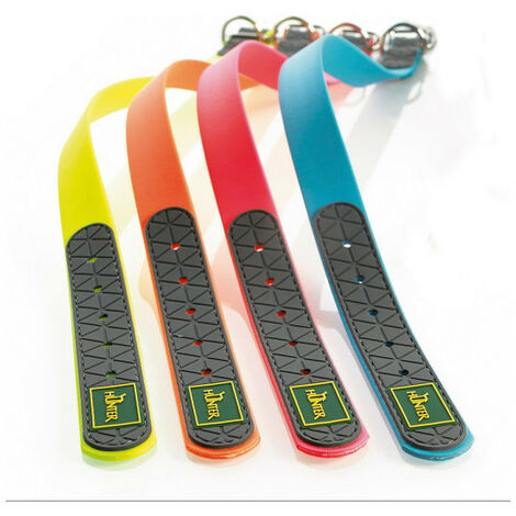 Collier pour Chien Hunter Convenience Turquoise
